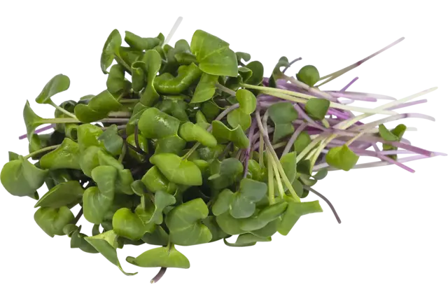 China rose cress 50gr stuk